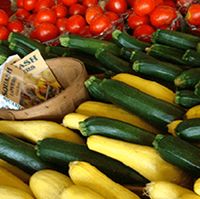Farmers Market
